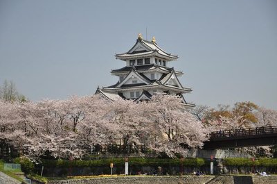 🏯 스노마타 하룻밤의 성(스노마타 이치야조) (오가키시 스노마타 역사자료관) 이미지 3